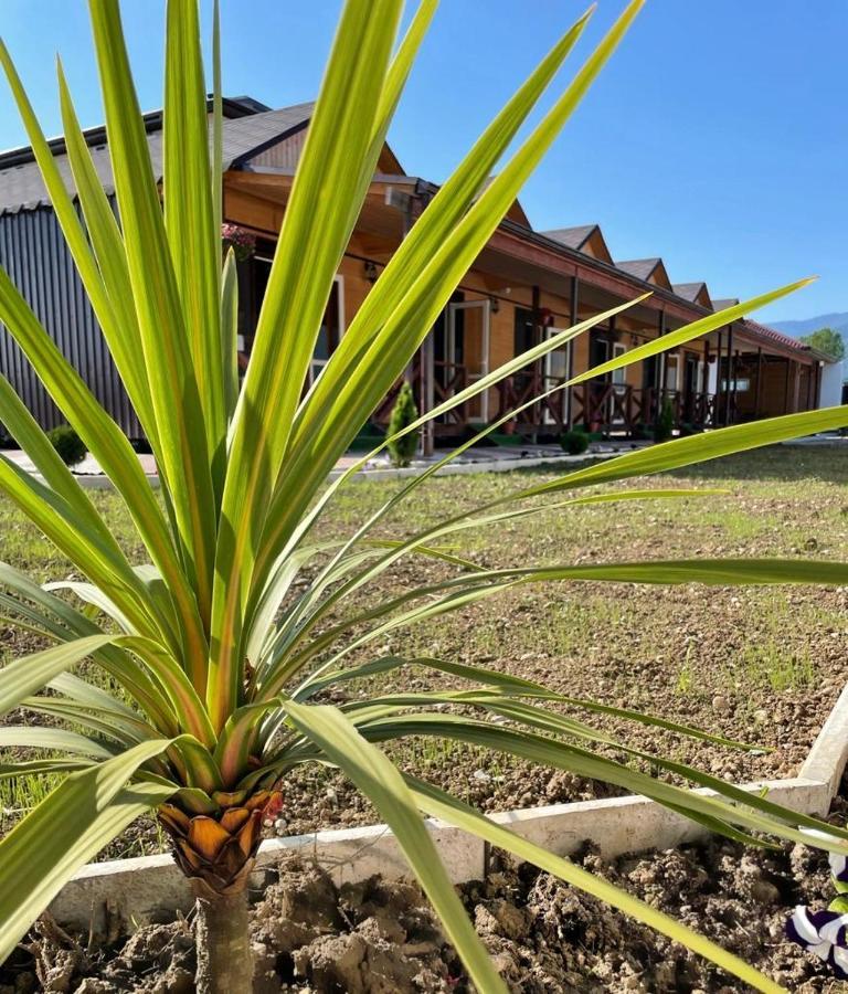 Hotel Askar #N/A Exterior foto